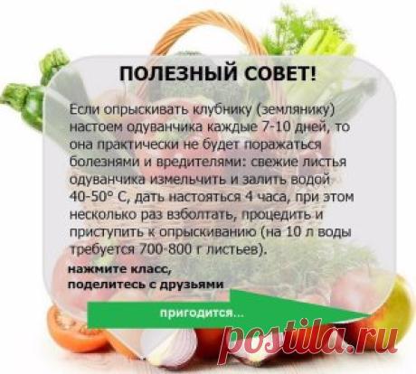 Пригодится)))