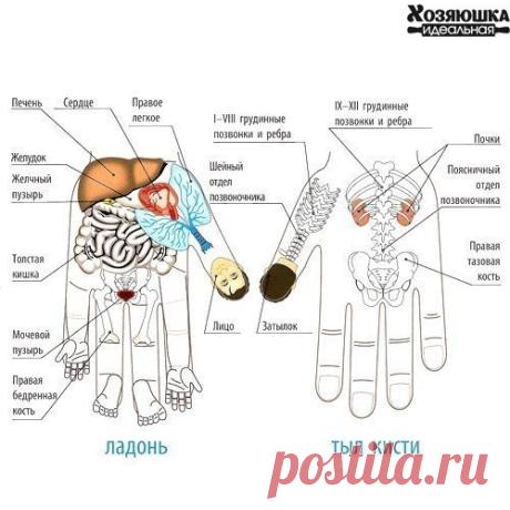 Наталья Васина