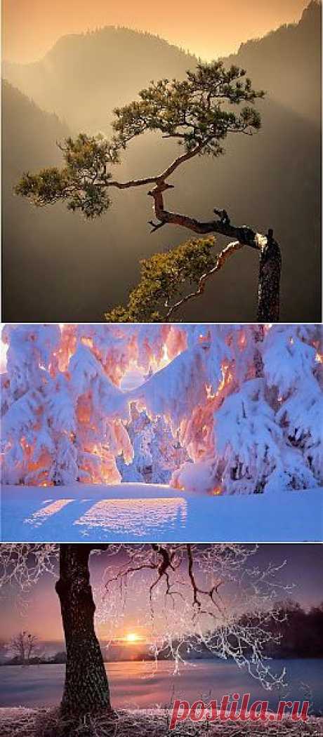 Лучшие фото – Пейзажи/Флора – Community – Google+