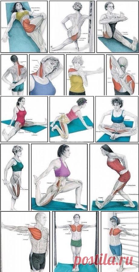 (99) Одноклассники