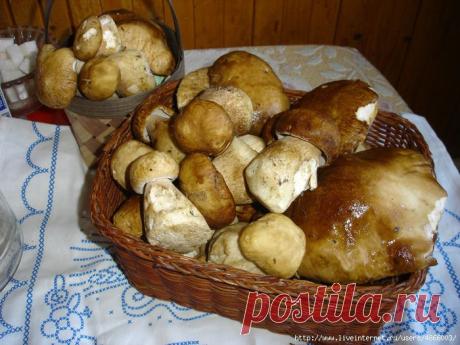 Лучший рецепт маринования грибов.Проверено временем!