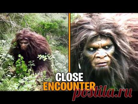 This Bigfoot Footage Is The Most Convincing Proof Yet