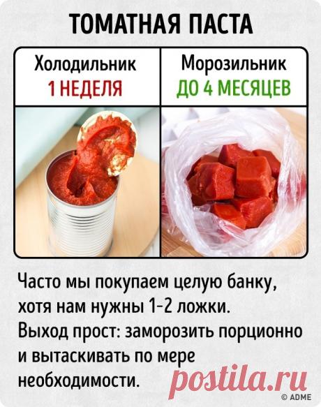 25 неожиданных фактов о том, как можно хранить современные продукты