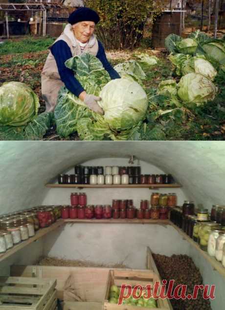 Огород в октябре. Работы в огороде в октябре.