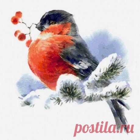 стих про снегирей .яблоки: 2 тыс изображений найдено в Яндекс.Картинках