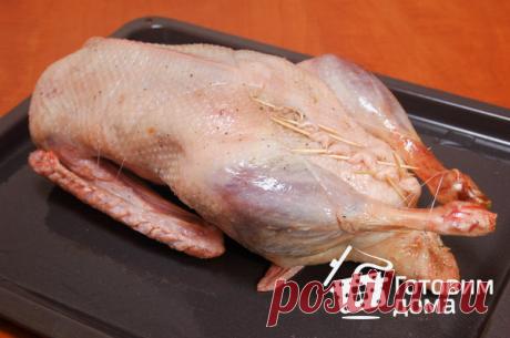 Гусь, фаршированный печенкой и грибами - пошаговый рецепт с фото на Готовим дома