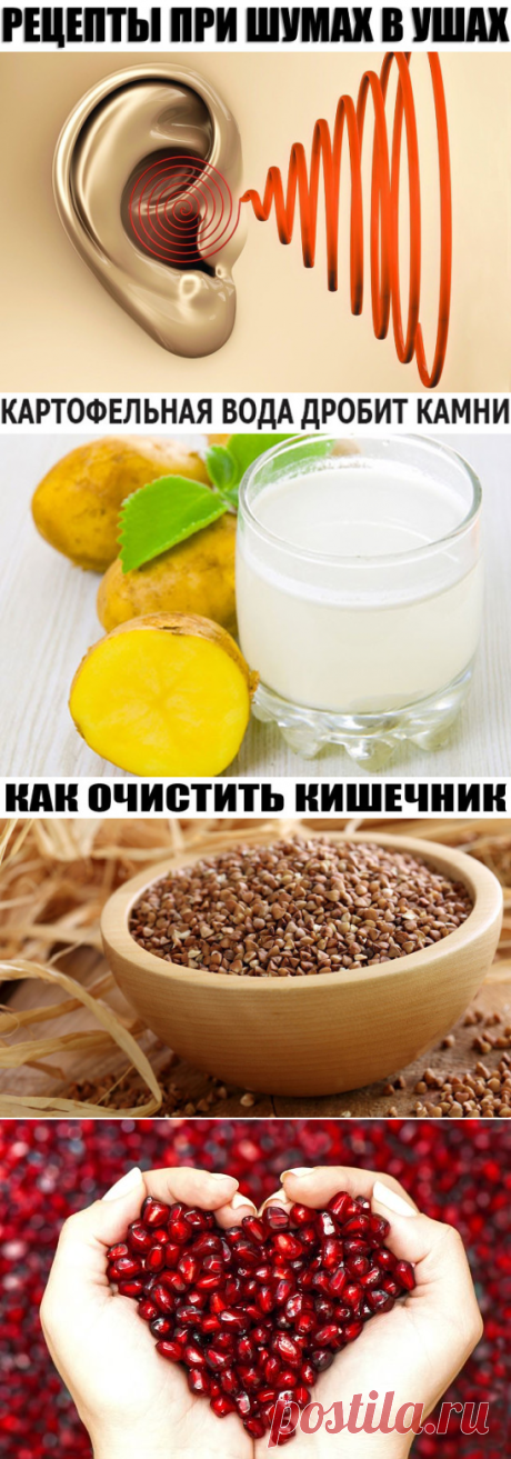 (51) Одноклассники
