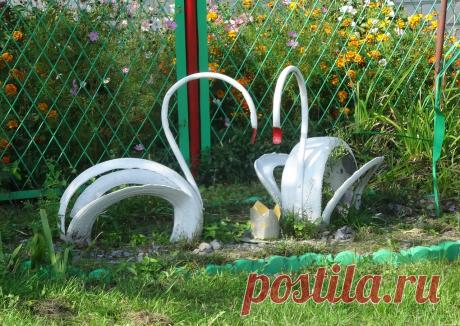 лебеди
Жмуровка Речицкий рвйон Гомельская обл