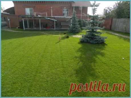 Как выровнять участок на даче своими руками: фото + видео