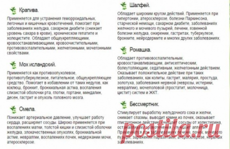 Рекомендуемый сбор прекрасно подходит для профилактики злокачественных опухолей, обновляет строение клеток во всем организме. Противопоказаний не имеет.
1. Настой из 16-ти трав:
Шалфей — (35 г);
Крапива — (25 г);
Шиповник — (20 г);
Бессмертник — (20 г)
Толокнянка — (20 г);
Череда — (20 г);
Полынь горькая — (15 г);
Тысячелистник — (10 г);
Ромашка — (10 г);
Сухоцвет — (10 г);
Чабрец — (10 г);
Кора крушины — (10 г);
Березовые почки — (10 г);
Трифоль (или цветки липы) — (10г);
Сушен