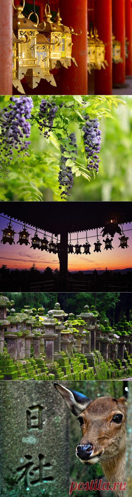 Касуга тайся (яп. 春日大社) — синтоистское святилище в Наре, Япония.
Путешествие в Японию (часть 11).