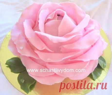 Торт-Роза. Мастер-класс