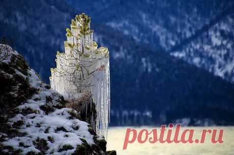 ♕ МУЗЫКАЛЬНЫЕ КЛИПЫ И ХОРОШЕЕ НАСТРОЕНИЕ ♕