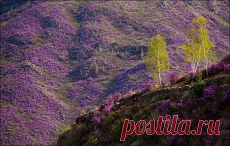 Фото красивейших мест мира | Фотохронограф