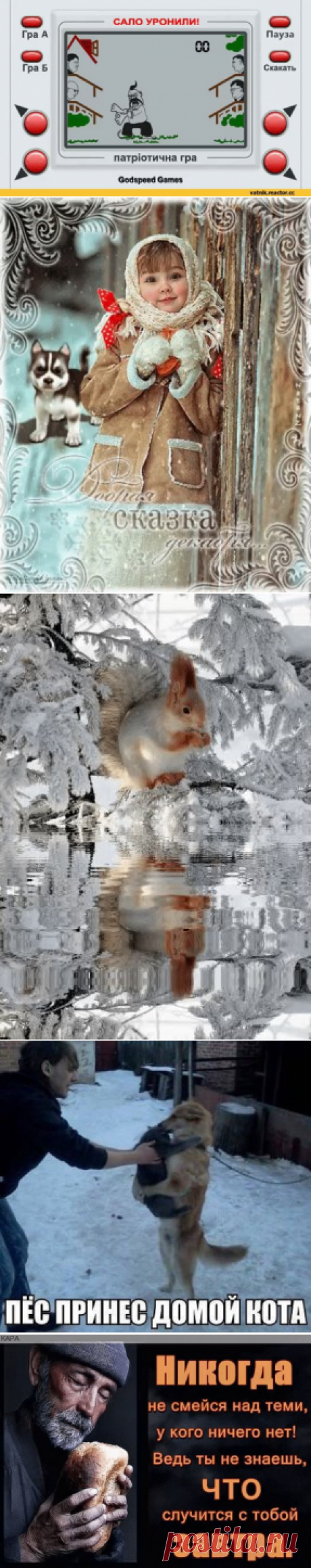 (2) Одноклассники