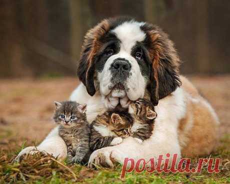 Главное не внешность,а отношение...