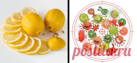10 щелочных продуктов, которые избавят от проблем с ожирением
