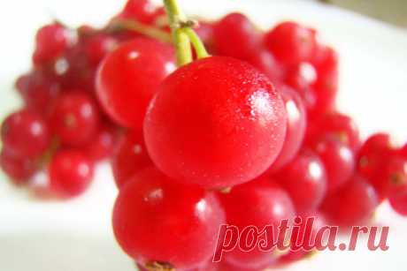 All Categories SUAS PROPRIEDADES COMPOSIÇÃO QUÍMICA : Calorias, fósforo, água, hidratos de carbono, proteínas. gorduras, sais, vitamina A, vitamina C, cálcio e ferro. USO MEDICINAL : A groselha tem...