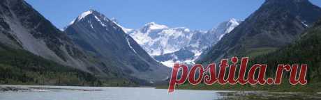 Травяные чаи – Алтайский женский вечерний чай | Алтай Горная аптека