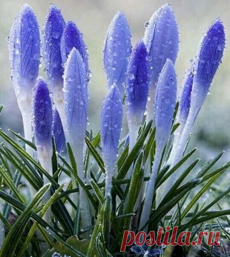 Ни один человек не может стать более чужим, чем тот, которого ты в прошлом любил.
Эрих Мария Ремарк