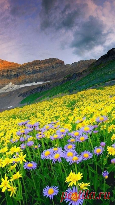 Тhe beautiful world of Ludmila ( Красивият свят на Людмила )