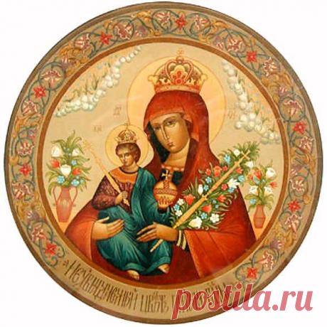 Неувядаемый цвет