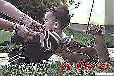 Все на подмогу!