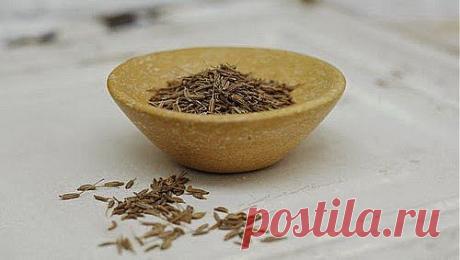 Тмин желудку помогает | Друг пенсионера
Тмин все мы знаем с детства. Я помню, как бабушка сушила под навесом большущие веники из этого растения, а потом обивала с них семена специальной колотушкой.