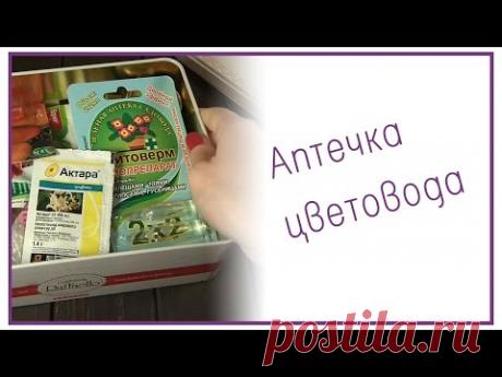 Аптечка цветовода. Болезни фиалок.