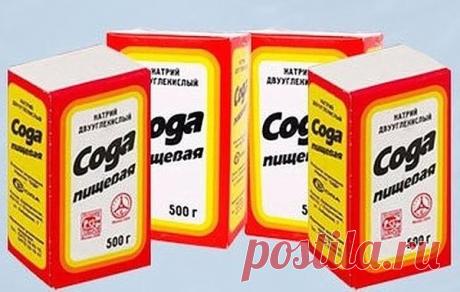 Сода - спасатель вашего огорода | во саду ли в огороде | Яндекс Дзен