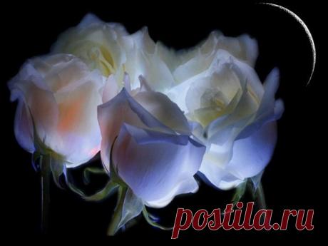 Интересные новости