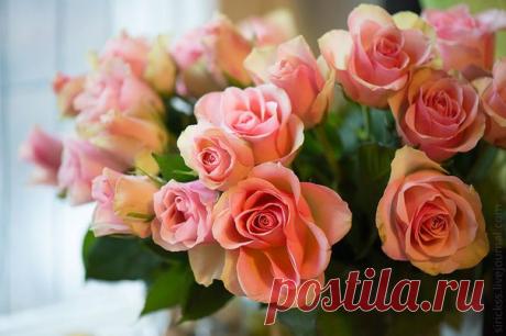 ~ Доброе утро! ~
Любви и Вашему сердцу! Тепла Вашей душе!