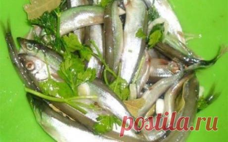 Мойва слабосоленая | Вкусный каприз.