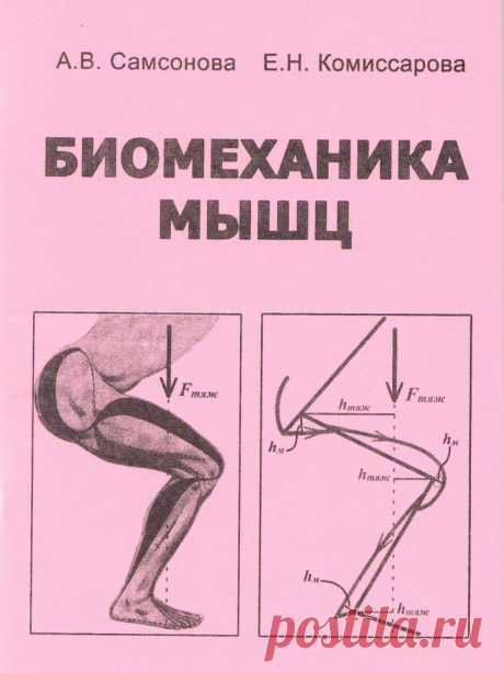 Учебное пособие "Биомеханика мышц"