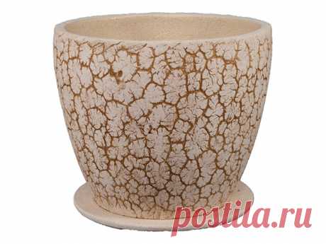 горшок с поддоном Антей N2 шамот - купить в Максидоме| Каталог с ценами на сайте, доставка.