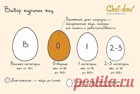«КУЛИНАРНЫЕ хитрости и советы для домохозяек.» | Записи в рубрике «КУЛИНАРНЫЕ хитрости и советы для домохозяек.» | Дневник Der_Engel678