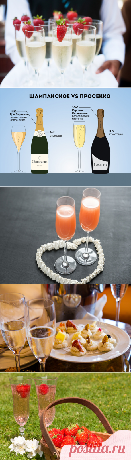 Чем шампанское отличается от просекко + 2 рецепта коктейлей - KitchenMag.ru