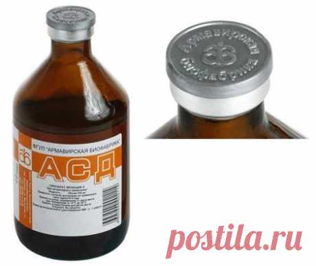 (8) Одноклассники