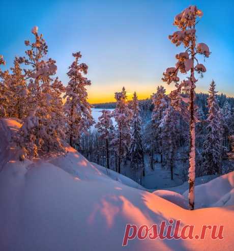 Зимний закат на озере Пестово, Ленинградская область. Автор фото – Федор Лашков: