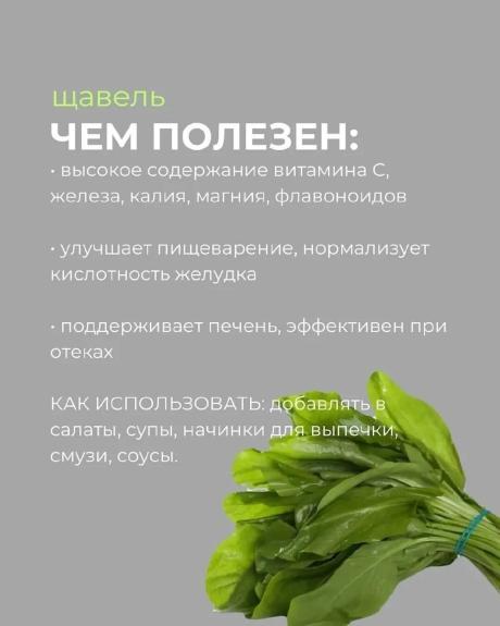 Щавель - чем полезен