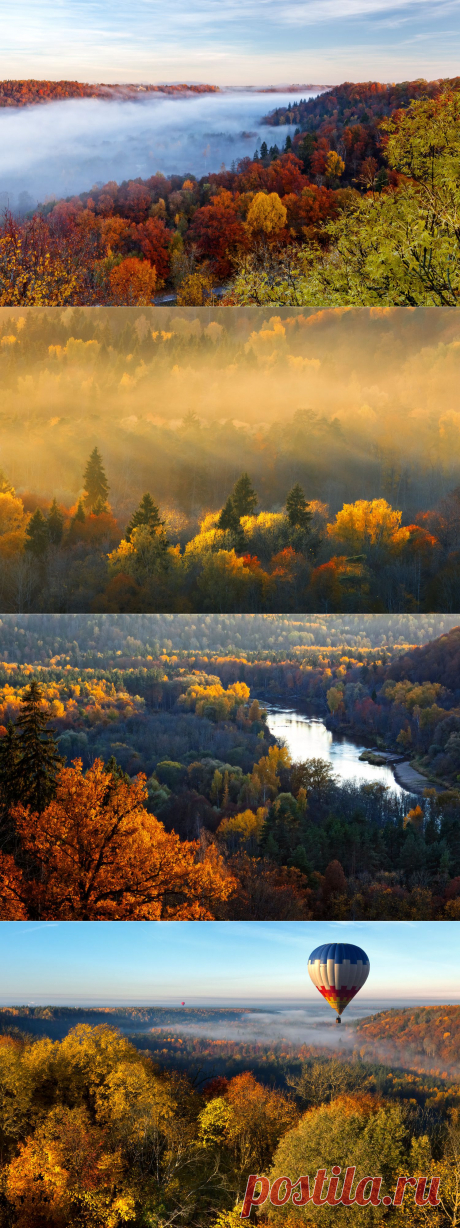 35PHOTO - Алексей Шандуров - Октябрь в Сигулде