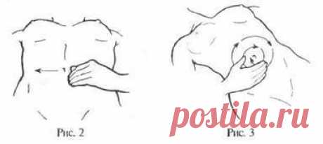 Полезные упражнения для органов брюшной полости