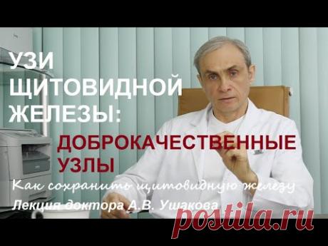 УЗИ Щитовидной железы: Доброкачественные узлы щитовидки (4 варианта узлов). Лекция. Доктор Ушаков