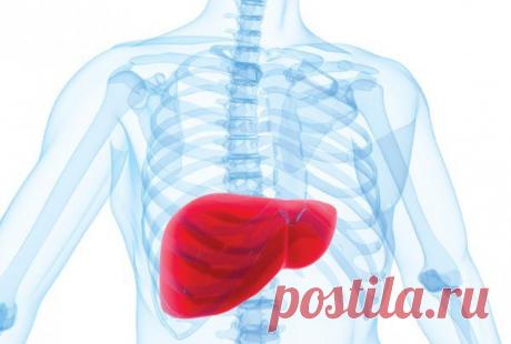 Очистка печени в домашних условиях | Очисти печень - помоги своему организму!