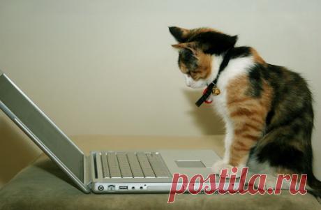 Полезные сочетания клавиш в Windows