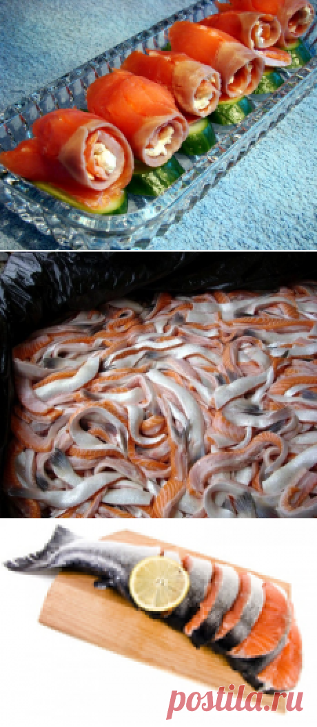 Как засолить форель и семгу в домашних условиях