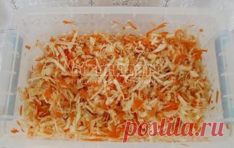 Капуста маринованная быстрого приготовления за 1 день - быстрый рецепт с фото | Все Блюда