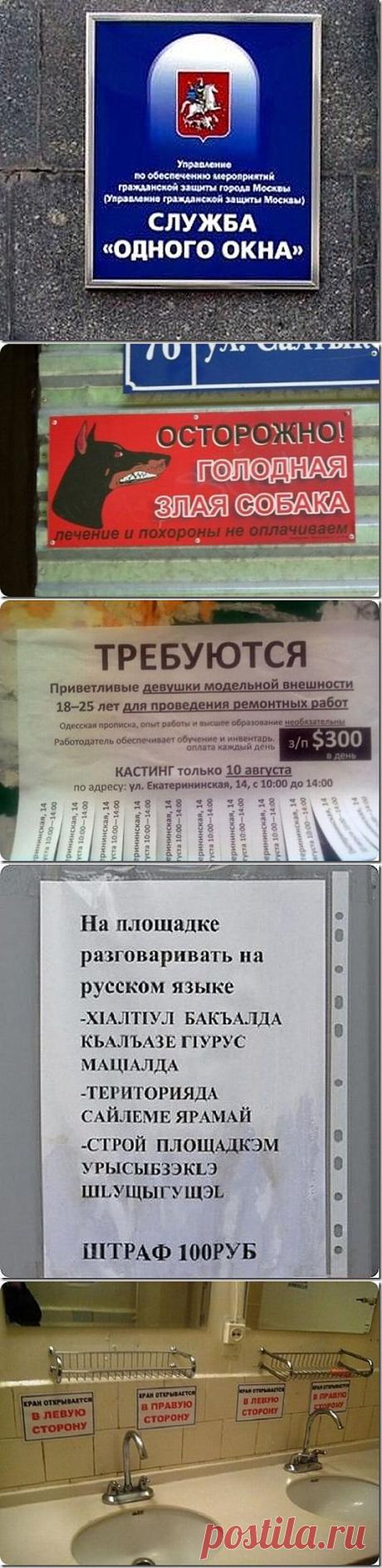 (+1) тема - Эпистолярные забавы | ПРАВИЛЬНО выбираем бытовую технику