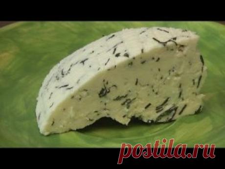 Домашний сыр с зеленью. Готовим дома.