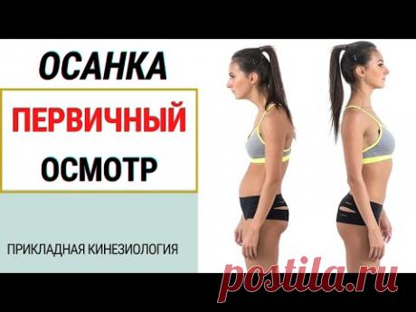ВИЗУАЛЬНАЯ ДИАГНОСТИКА. ПЕРВИЧНАЯ ОЦЕНКА ПРИ ОСМОТРЕ. ФРАГМЕНТ ВЕБИНАРА. ПРИКЛАДНАЯ КИНЕЗИОЛОГИЯ.